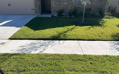 Photo of Cheryl P.'s yard after getting lawn care in Port Richey, FL