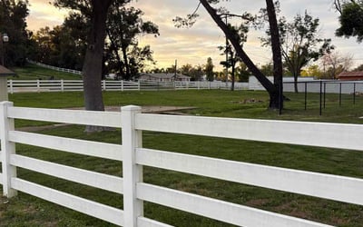 Photo of Michael M.'s yard after getting lawn care in Ramona, CA