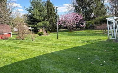 Photo of Steve A.'s yard after getting lawn care in Fairfield, OH