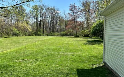 Photo of Clara M.'s yard after getting lawn care in Amelia, OH