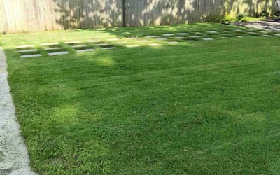 Photo of Angela W.'s yard after getting lawn care in Atlanta, GA