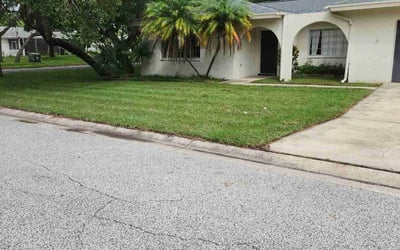 Photo of Christopher J.'s yard after getting lawn care in Hudson, FL