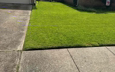 Photo of Elizabeth B.'s yard after getting lawn care in Gretna, LA