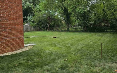 Photo of Linda L.'s yard after getting lawn care in District Heights, MD