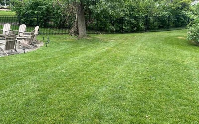 Photo of Cheryl G.'s yard after getting lawn care in Prior Lake, MN
