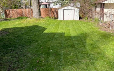 Photo of Simeon H.'s yard after getting lawn care in Highland, MI