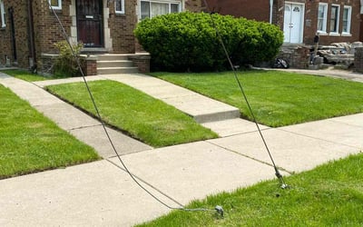 Photo of Lee J.'s yard after getting lawn care in Inkster, MI