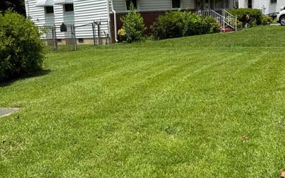 Photo of Eileen Q.'s yard after getting lawn care in Portsmouth, RI