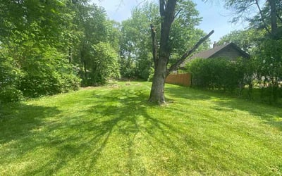 Photo of Rachel S.'s yard after getting lawn care in Middletown, OH