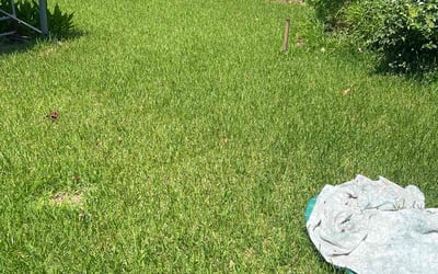Photo of Jason F.'s yard after getting lawn care in Bethel Park, PA