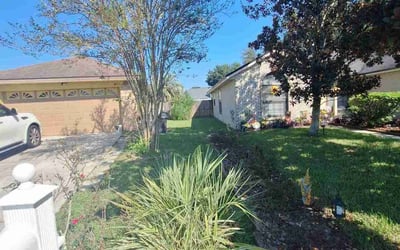 Photo of Cathy S.'s yard after getting lawn care in Orange Park, FL
