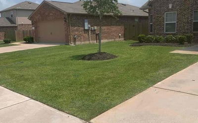 Photo of Corliss K.'s yard after getting lawn care in La Marque, TX