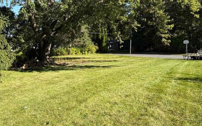 Photo of Daniel L.'s yard after getting lawn care in Brookfield, WI