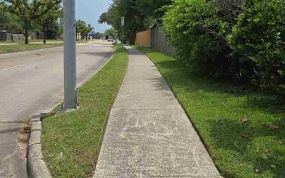 Photo of Daphene C.'s yard after getting lawn care in Channelview, TX