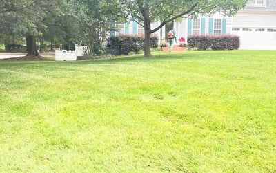 Photo of Deavion F.'s yard after getting lawn care in Willow Spring, NC