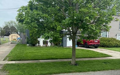 Photo of Cheryl M.'s yard after getting lawn care in Buffalo, NY