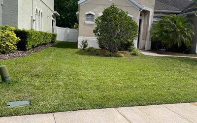 Photo of Ann B.'s yard after getting lawn care in Lawrence, MA