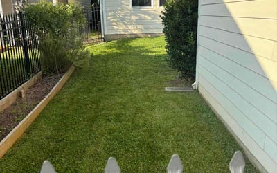 Photo of Brittany E.'s yard after getting lawn care in Selma, NC