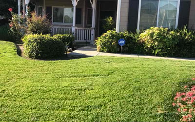 Photo of Diana B.'s yard after getting lawn care in Reedley, CA