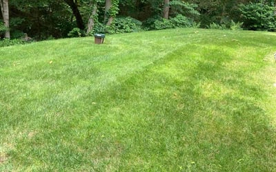 Photo of Katie B.'s yard after getting lawn care in Sussex, WI