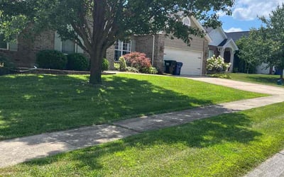 Photo of Sybil K.'s yard after getting lawn care in Chelmsford, MA