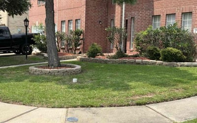 Photo of Derrick P.'s yard after getting lawn care in Orlando, FL