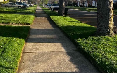 Photo of Jennifer H.'s yard after getting lawn care in Riverview, MI