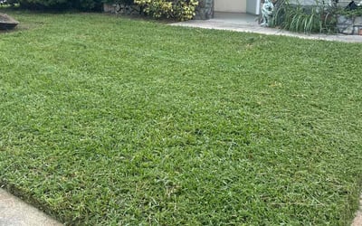 Photo of Natasha T.'s yard after getting lawn care in Farmingdale, NY