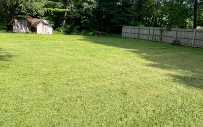 Photo of Telma K.'s yard after getting lawn care in Elmhurst, IL