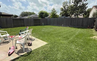 Photo of Evan M.'s yard after getting lawn care in Cypress, TX