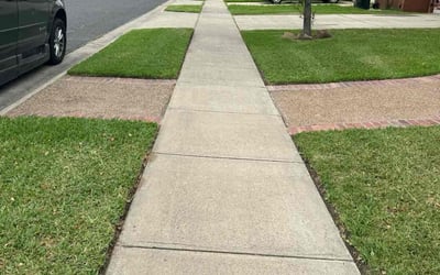 Photo of Pam L.'s yard after getting lawn care in Robstown, TX