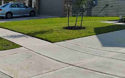 Photo of Alexia R.'s yard after getting lawn care in Houston, TX
