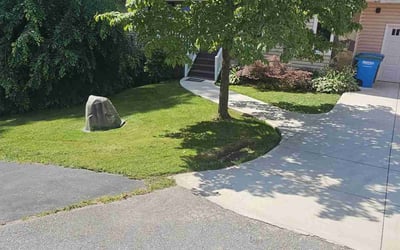Photo of Mike B.'s yard after getting lawn care in Asheville, NC