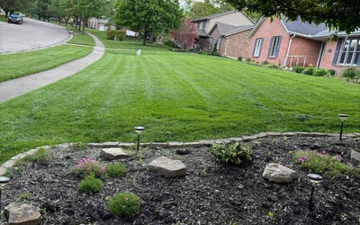 Photo of Angela D.'s yard after getting lawn care in New Richmond, OH