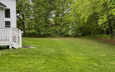 Photo of Ann M.'s yard after getting lawn care in Old Bridge, NJ