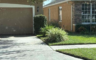 Photo of Ansel D.'s yard after getting lawn care in Oviedo, FL