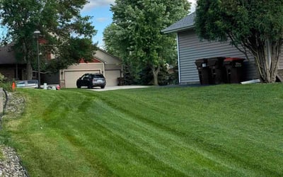 Photo of Celestine P.'s yard after getting lawn care in Richmond, VA