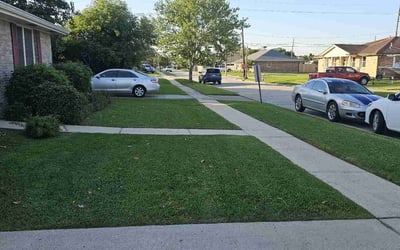 Photo of Triston C.'s yard after getting lawn care in Foley, AL