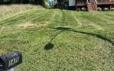 Photo of Timothy R.'s yard after getting lawn care in Bristol, TN
