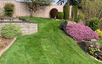 Photo of Ken M.'s yard after getting lawn care in Seattle, WA