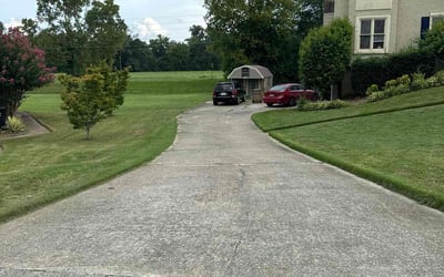 Photo of Olukemi O.'s yard after getting lawn care in Holyoke, MA