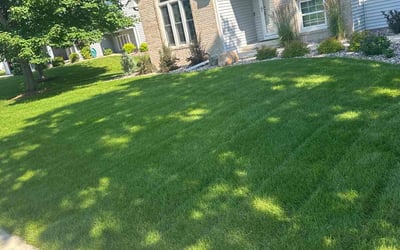 Photo of Tomas M.'s yard after getting lawn care in Rochester, MN