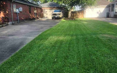 Photo of Kapil S.'s yard after getting lawn care in Saint Augustine, FL