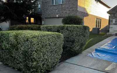 Photo of Joseph P.'s yard after getting lawn care in Manchester Township, NJ