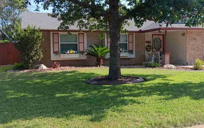 Photo of Janet A.'s yard after getting lawn care in La Vernia, TX