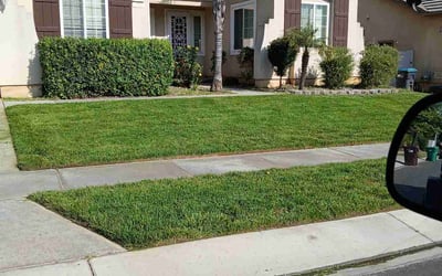 Photo of Kevin G.'s yard after getting lawn care in Beaumont, CA