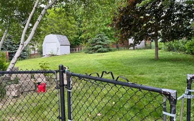 Photo of Faisal I.'s yard after getting lawn care in Rosemount, MN