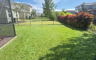 Photo of Alberto S.'s yard after getting lawn care in Apollo Beach, FL