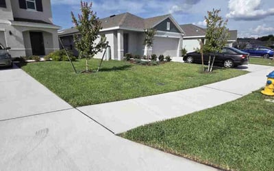 Photo of Mary F.'s yard after getting lawn care in Killeen, TX