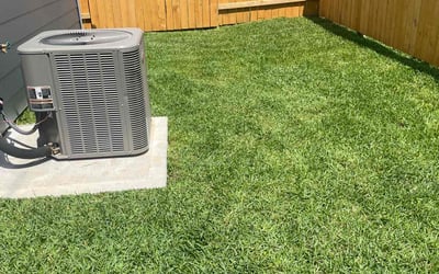 Photo of Chris D.'s yard after getting lawn care in South Dartmouth, MA
